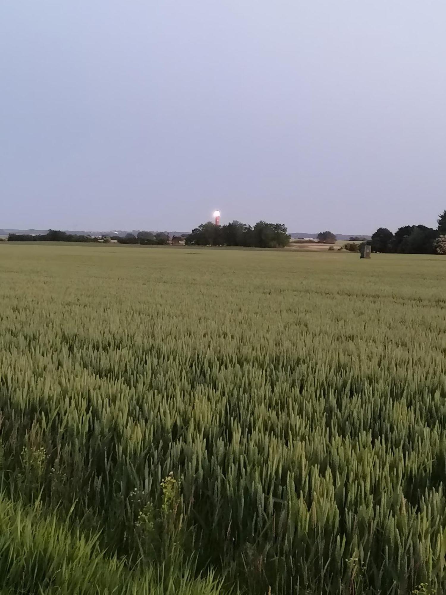 Ferienhaus Kleiner Leuchtturm - Steuerbord Fehmarn